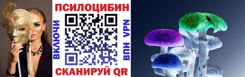 Купить  Боровичи  Галлюциногенные грибы MAGIC MUSHROOMS 